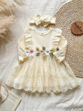 Newborn Baby Girl Brown Summer Cute Lace Birthday Dress Pit Stripe Embroidery Flower Bow Mesh Splicing 2-Piece Set Autumn Winter Elegant Shooting